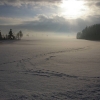 Januar 2014