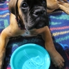 9. Juli 2018