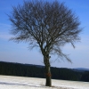 März 2018