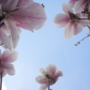 22. April 2018