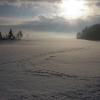Winter (2015)
