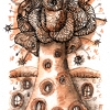 Marion Lucka: Goldbaum, Aquarell, 19 x 15 cm (2012)