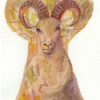 Marion Lucka: Steinbockbaum, Aquarell (2015) present