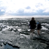 Marion Lucka: Büsum (2007)