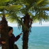 Marion Lucka: Gardasee (2010)