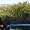 Marion Lucka: Kreta (2014)