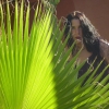 Marion Lucka: Mallorca (2011)