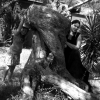 Marion Lucka: Mallorca (2011)