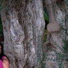 Marion Lucka: Mallorca (2011)