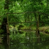Marion Lucka: Spreewald (2016)