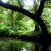 Marion Lucka: Spreewald (2016)