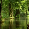 Marion Lucka: Spreewald (2016)