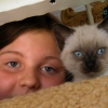 Marion Lucka: Nova und das Katzenbaby (2012)
