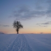 Februar 2021