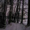 Januar 2021