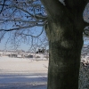 Februar 2021
