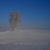 Februar 2021