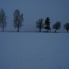 Dezember 2020