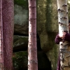 Marion Lucka: Luisenburg (2008)