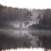 Marion Lucka: Nebelteich (2015)
