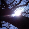 Marion Lucka: Sonnenfinsternis (2015)