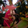 Marion Lucka: Oktober (2015)
