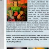 "Bio-Fair- Kunst-Genuss" Ausstellung (2016)