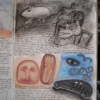 Marion Lucka: Traumbuch Seite 77