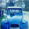 Marion Lucka: Mein Lieblingsauto (1996)