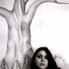 Marion Lucka: Bleistiftwandbild mit Blüte (1982)