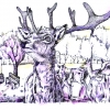 Marion Lucka: Dammwild. 15 x 20 cm (2010)